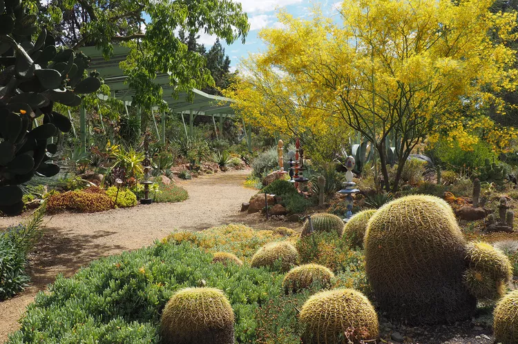 This Little California Nursery Was Named the Most Gorgeous On the planet